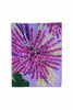 Manta casal Estampada de Microfibra 1,80 x 2,20 BWTEX